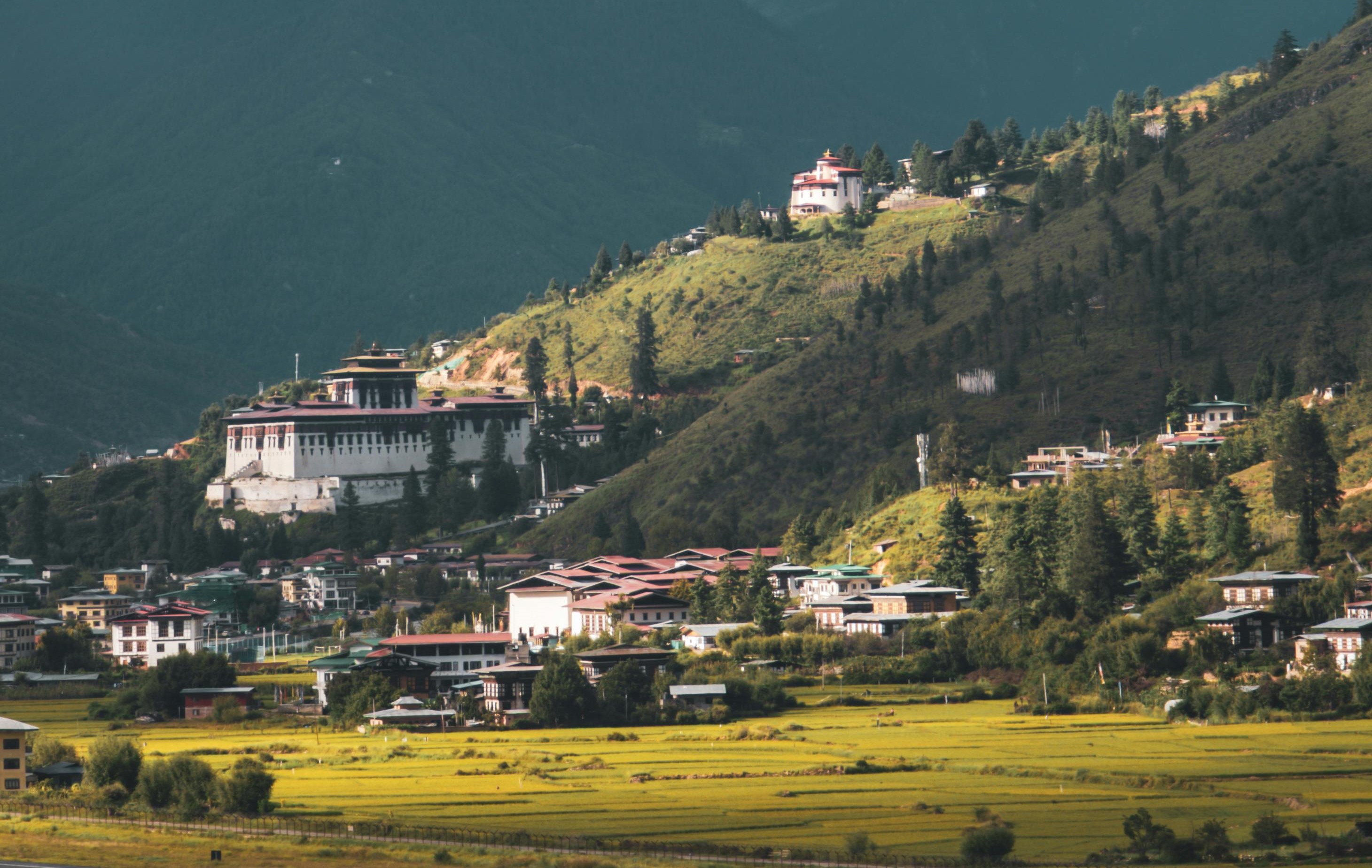 Paro Arrival
